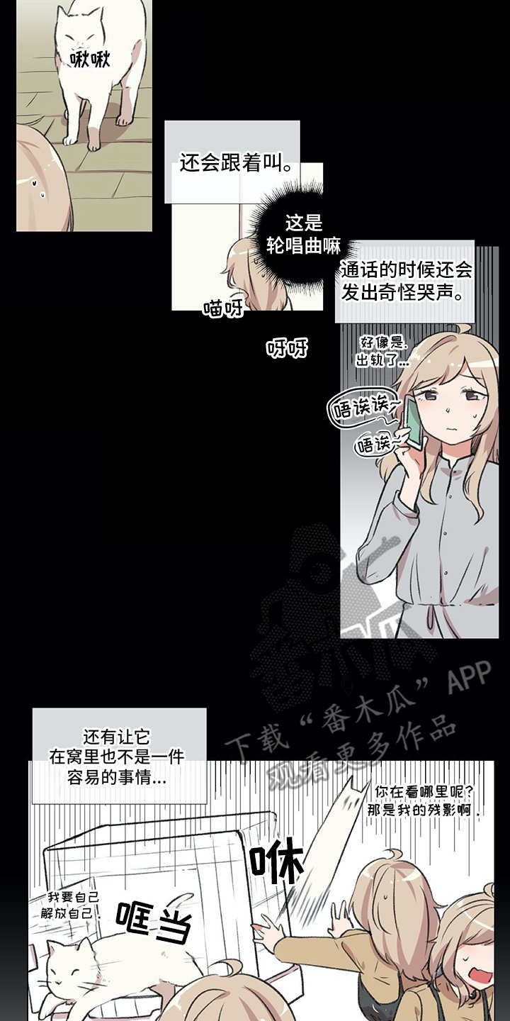 情感咨询师漫画,第18章：猫奴2图