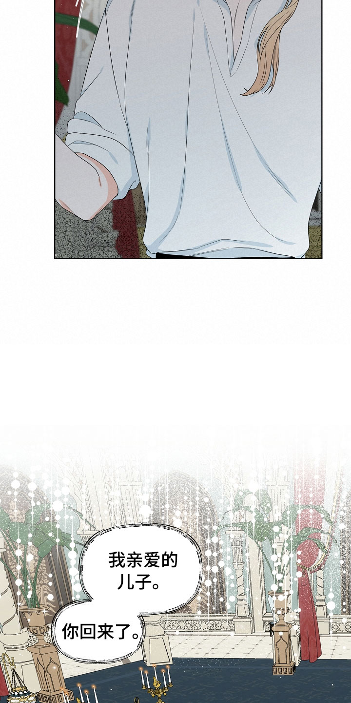 傲娇小公主漫画,第9章：母亲3图