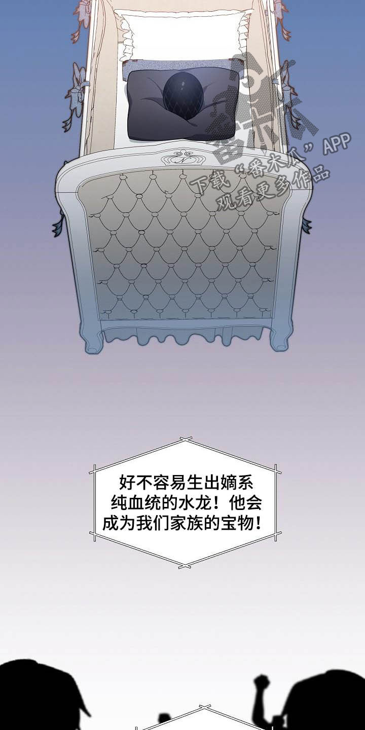 傲娇小祖宗她又野又飒漫画,第33章：保守秘密5图