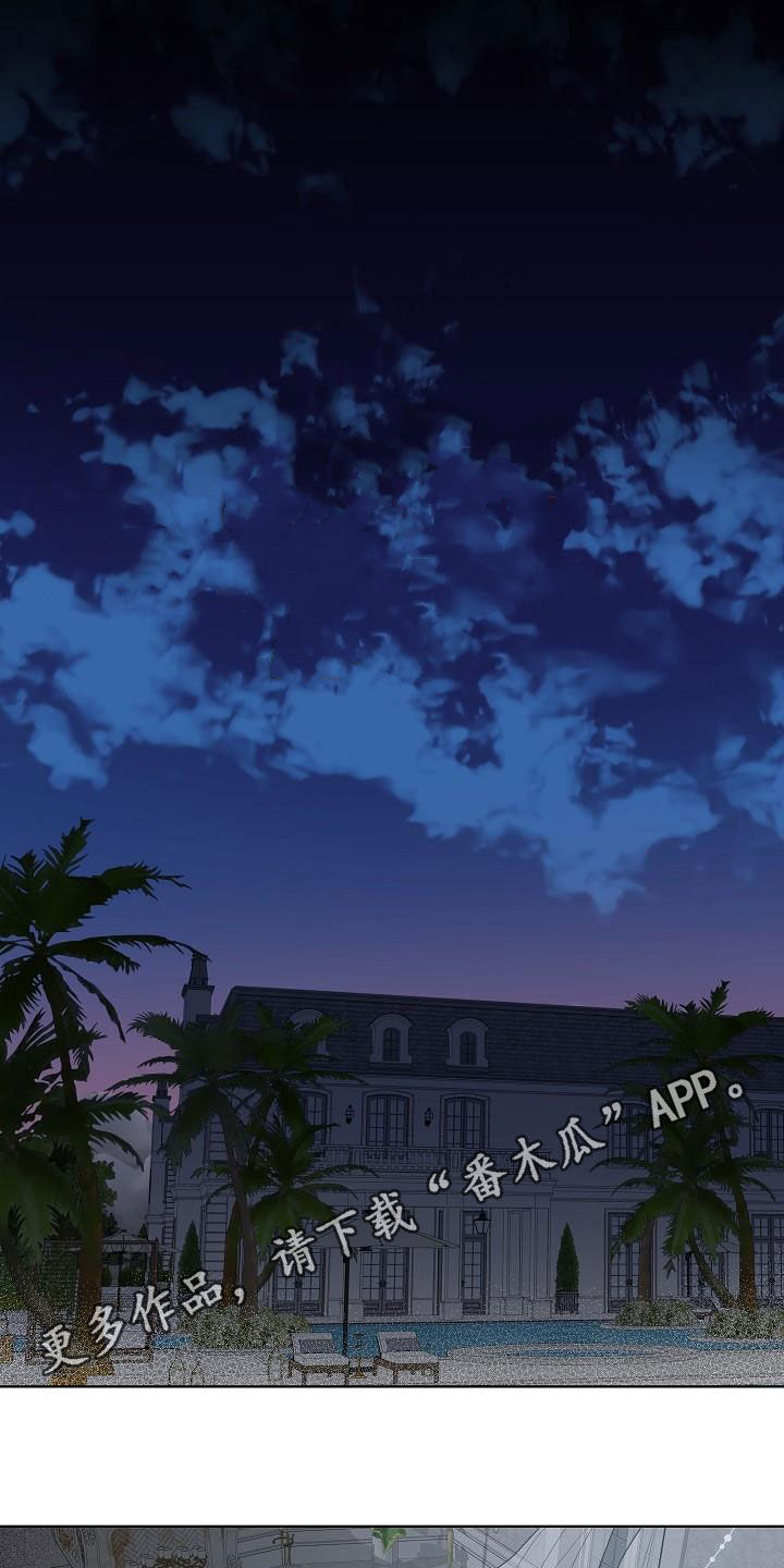 傲娇小公主图片漫画,第49章：弟弟1图