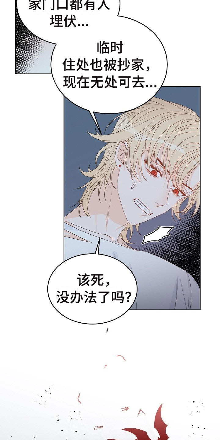 傲娇小兽人漫画,第1章：逃亡2图