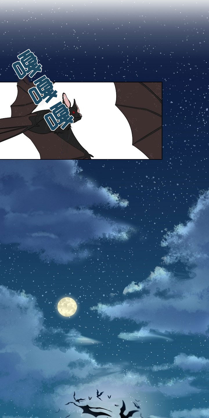 傲娇小兽人漫画,第1章：逃亡4图