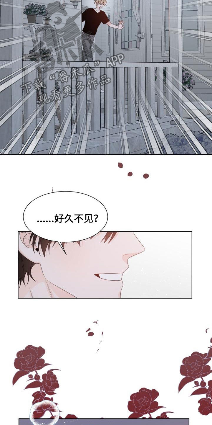 傲娇小恶魔漫画,第62章：让我吻你（完结）4图