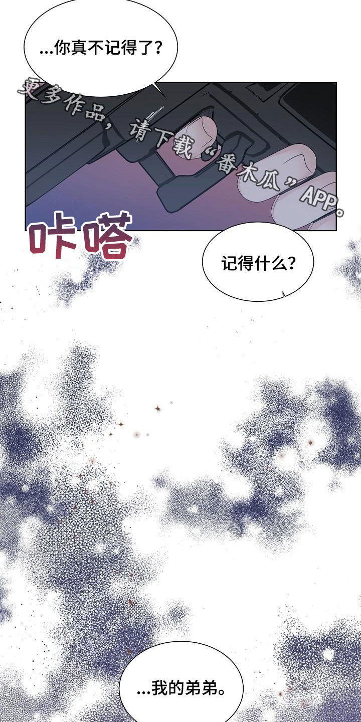 傲娇小恶魔变脸术漫画,第49章：弟弟5图