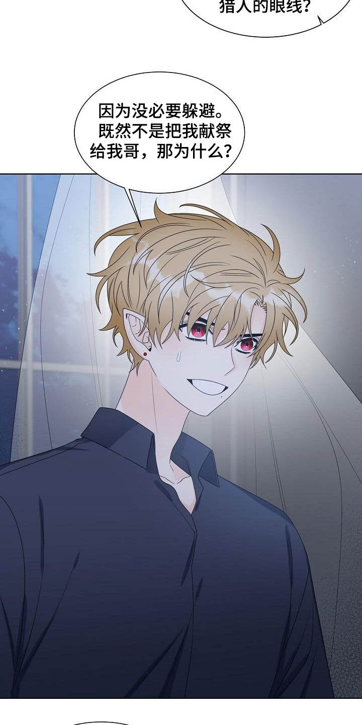 傲娇小恶魔变脸术漫画,第49章：弟弟4图