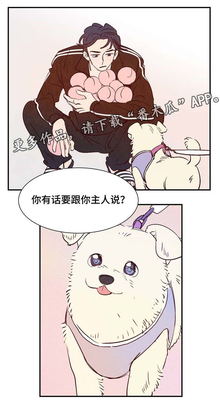 寻鳞之旅漫画,第8章：有话要说5图