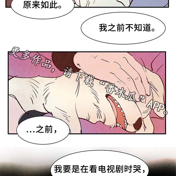 寻鳞之旅漫画,第37章：灵魂召唤4图