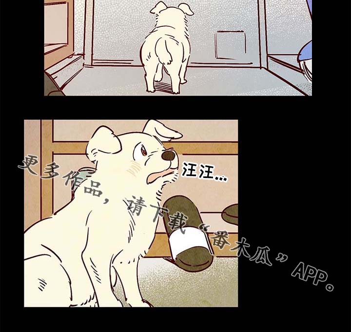 寻鳞之旅漫画,第40章：老幺的故事1图