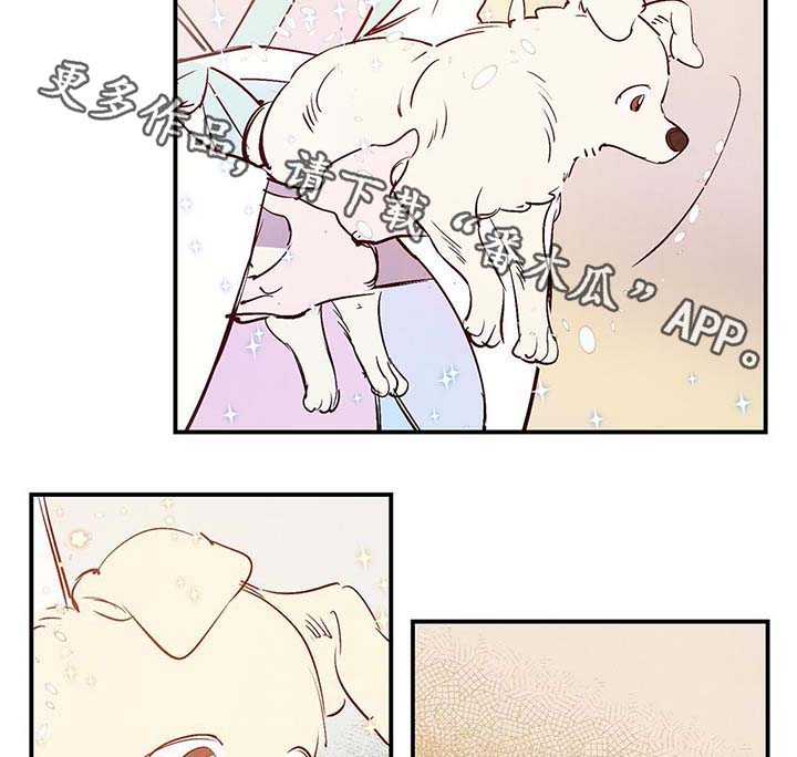 寻鳞之旅漫画,第39章：上路2图