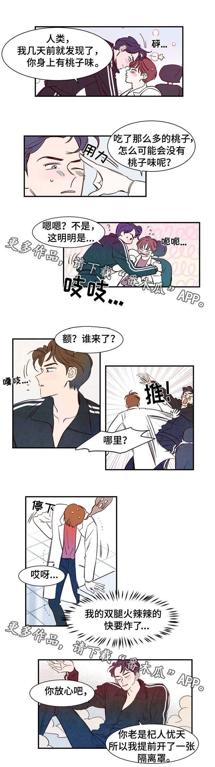 寻鳞之旅漫画,第13章：桃子味1图