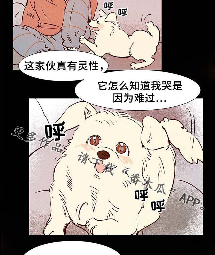 寻鳞之旅漫画,第37章：灵魂召唤2图