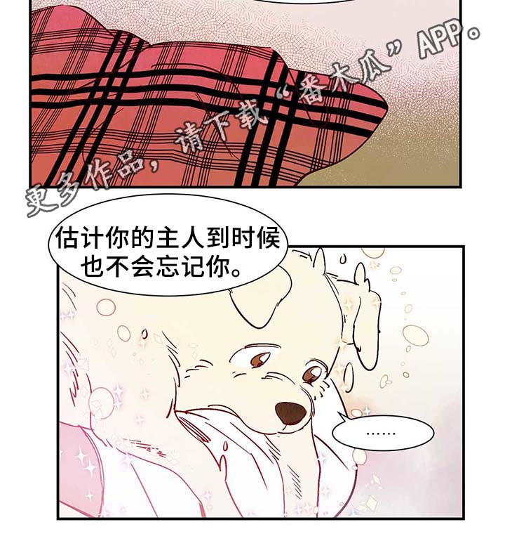 寻鳞之旅漫画,第40章：老幺的故事4图
