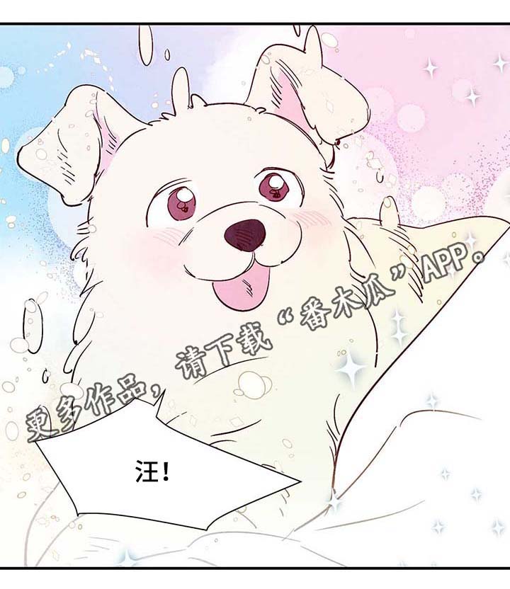 寻鳞之旅漫画,第40章：老幺的故事1图