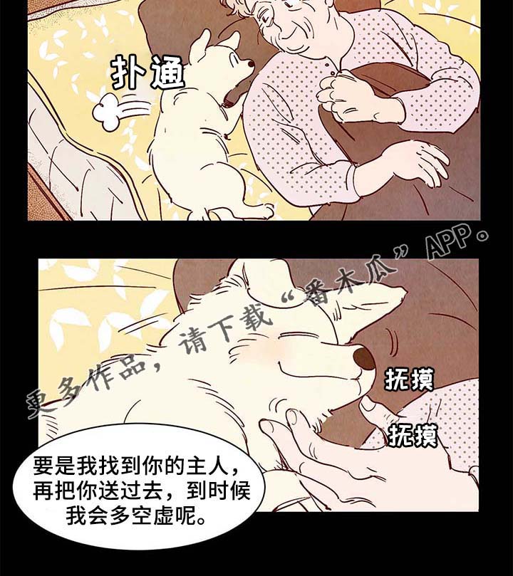 寻鳞之旅漫画,第40章：老幺的故事3图
