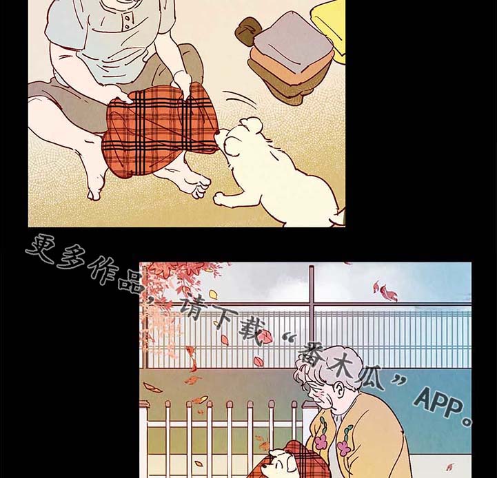 寻鳞之旅漫画,第40章：老幺的故事2图