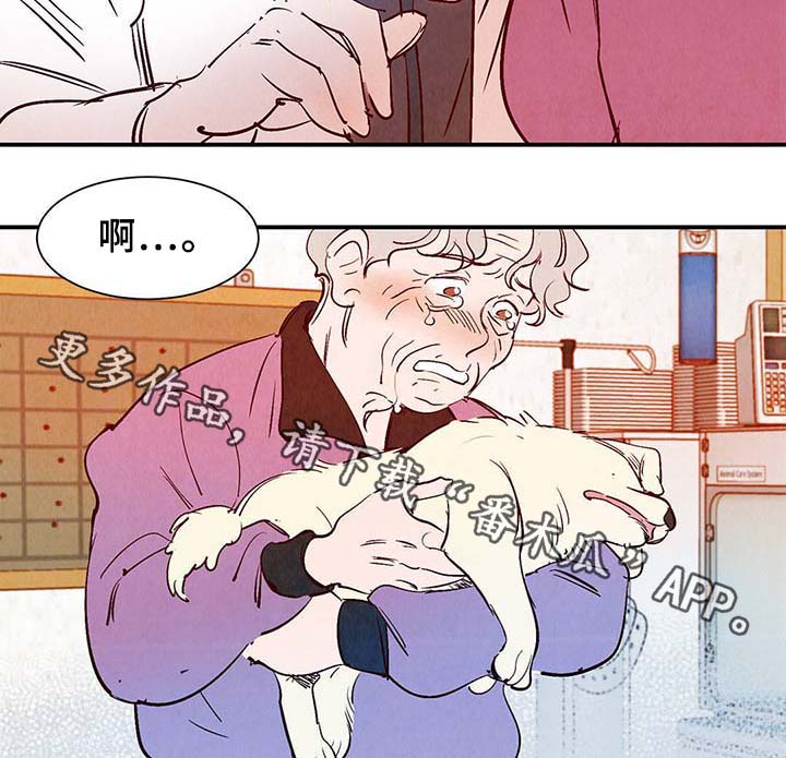 寻鳞之旅漫画,第37章：灵魂召唤3图