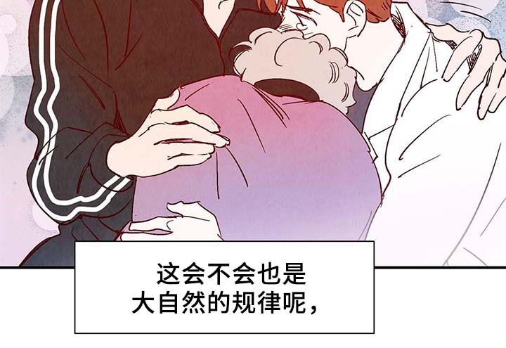 寻鳞之旅漫画,第39章：上路2图