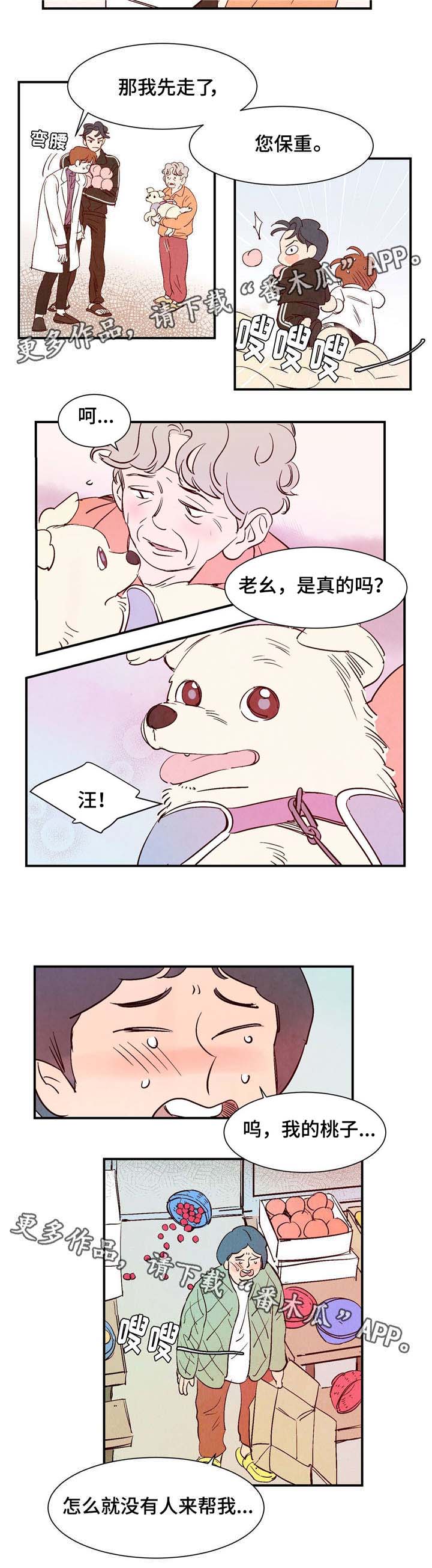 寻鳞之旅漫画,第10章：交易2图