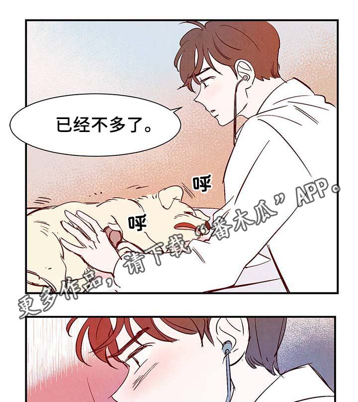 寻鳞之旅漫画,第36章：面对死亡1图