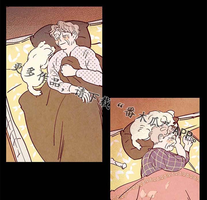 寻鳞之旅漫画,第40章：老幺的故事4图