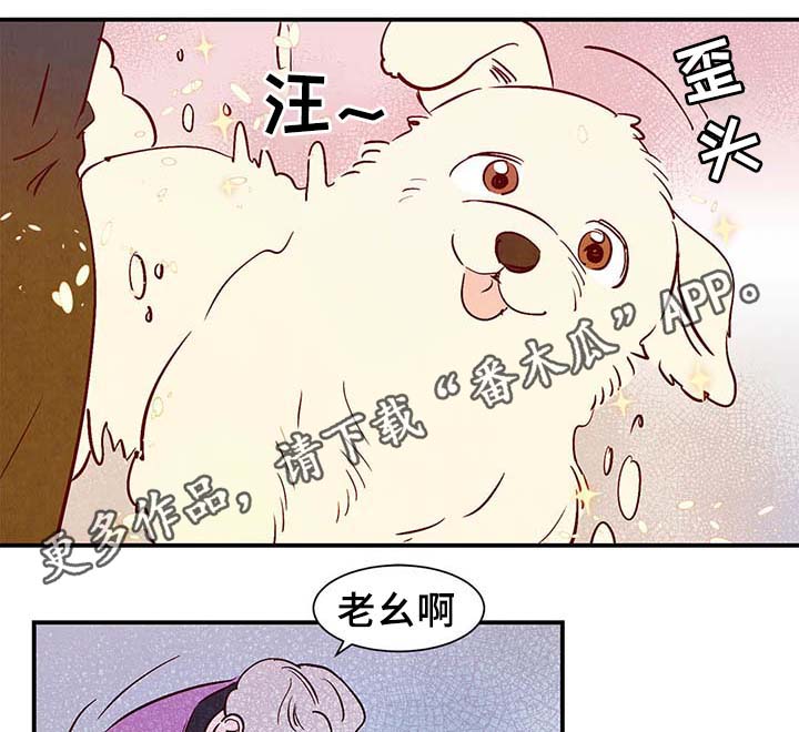 寻鳞之旅漫画,第38章：让我见见它1图