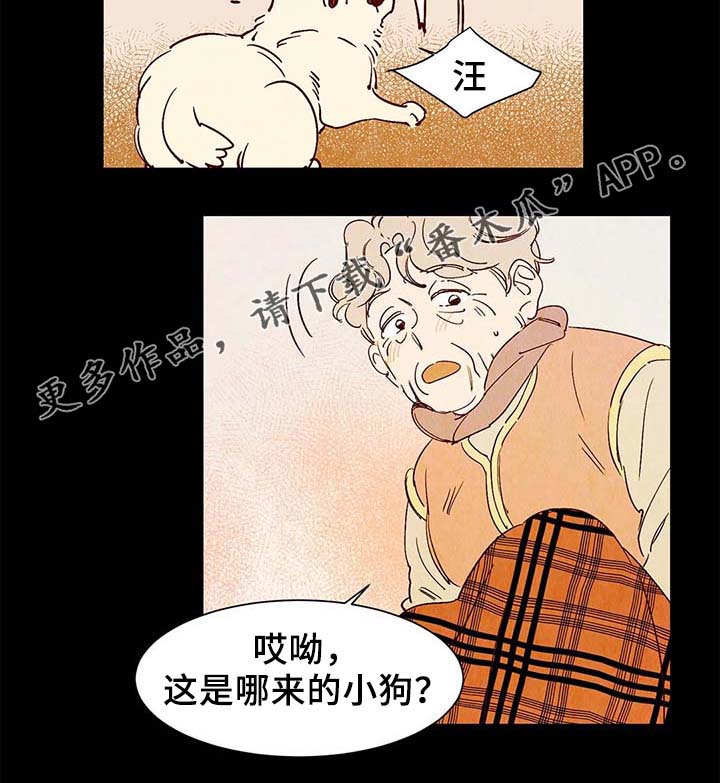 寻鳞之旅漫画,第40章：老幺的故事1图