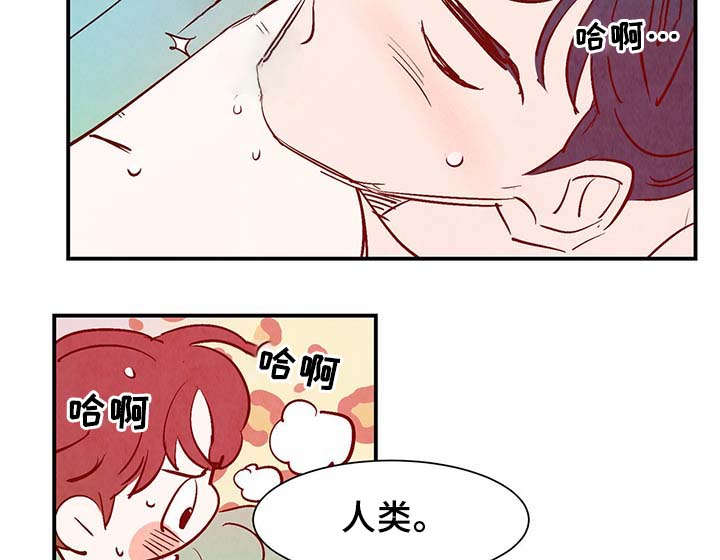 寻鳞之旅漫画,第32章：疯了3图