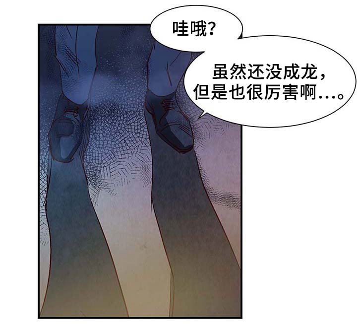寻鳞之旅漫画,第39章：上路3图