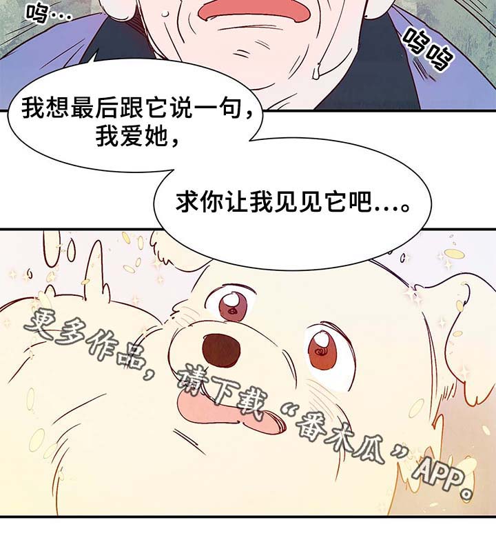 寻鳞之旅漫画,第38章：让我见见它2图