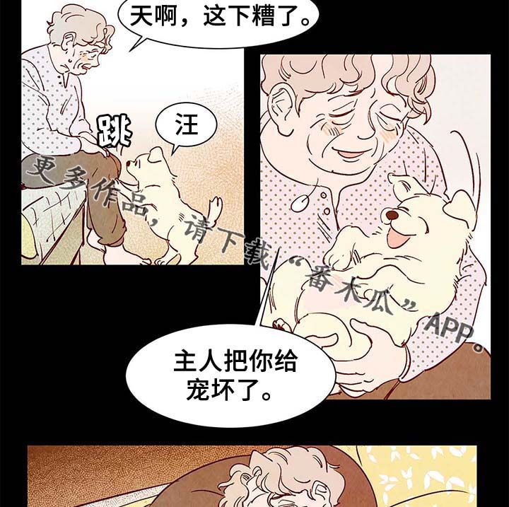 寻鳞之旅漫画,第40章：老幺的故事2图