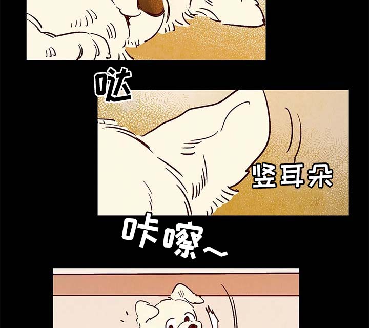 寻鳞之旅漫画,第40章：老幺的故事5图