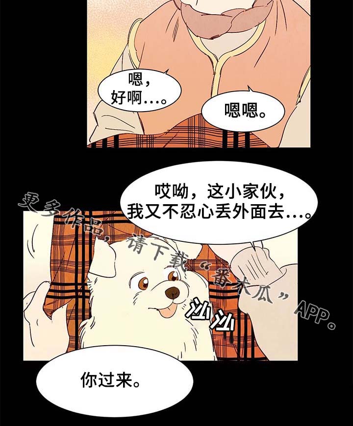 寻鳞之旅漫画,第40章：老幺的故事3图