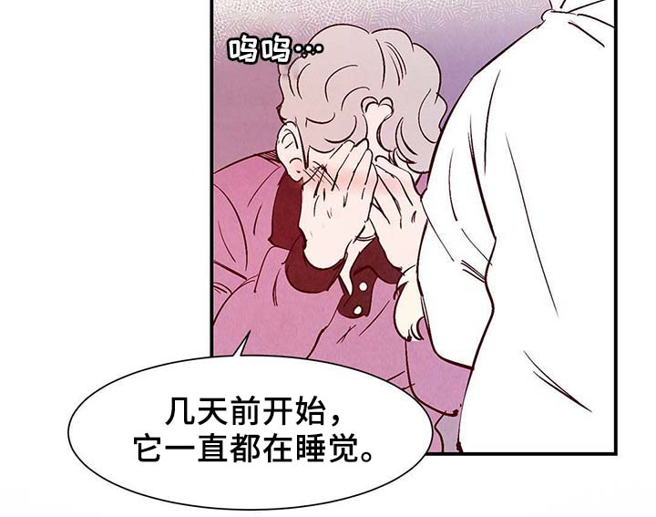 寻鳞之旅漫画,第36章：面对死亡4图