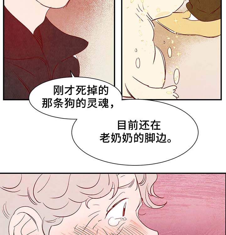 寻鳞之旅漫画,第38章：让我见见它1图