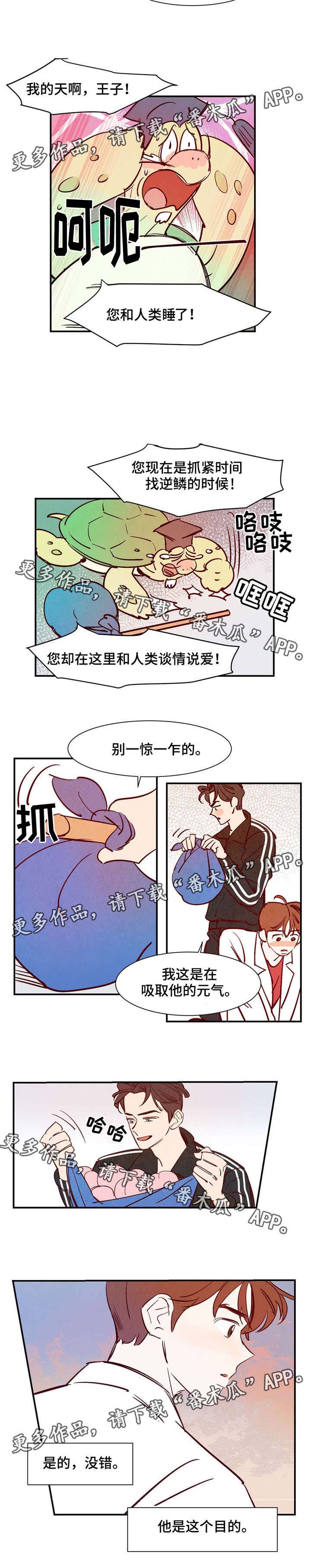 寻鳞之旅漫画,第18章：会说话的乌龟2图
