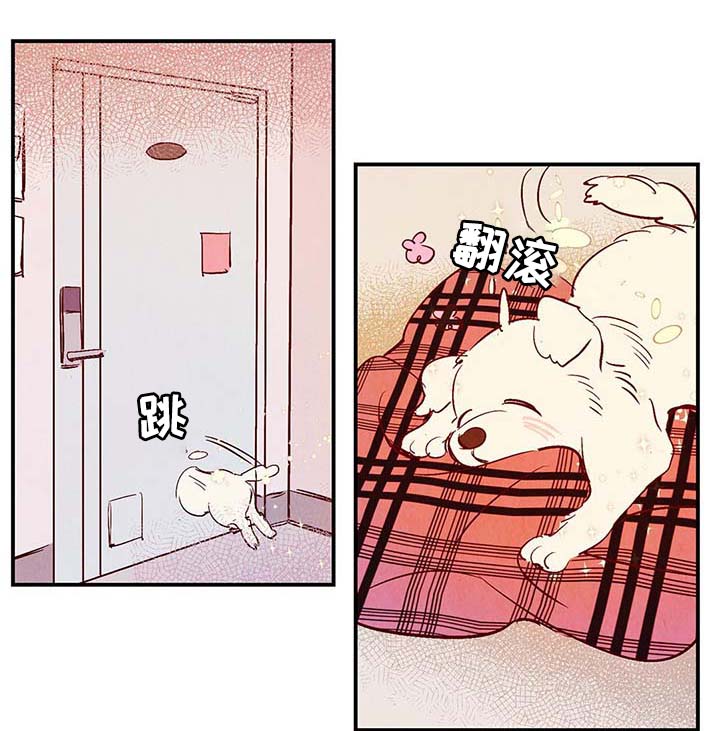 寻鳞之旅漫画,第39章：上路4图