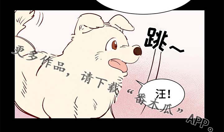寻鳞之旅漫画,第40章：老幺的故事3图