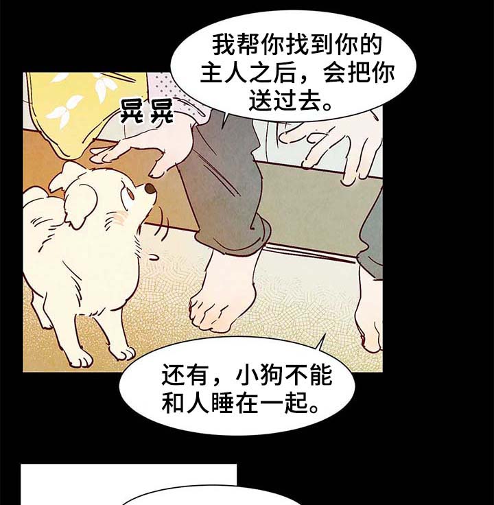 寻鳞之旅漫画,第40章：老幺的故事1图