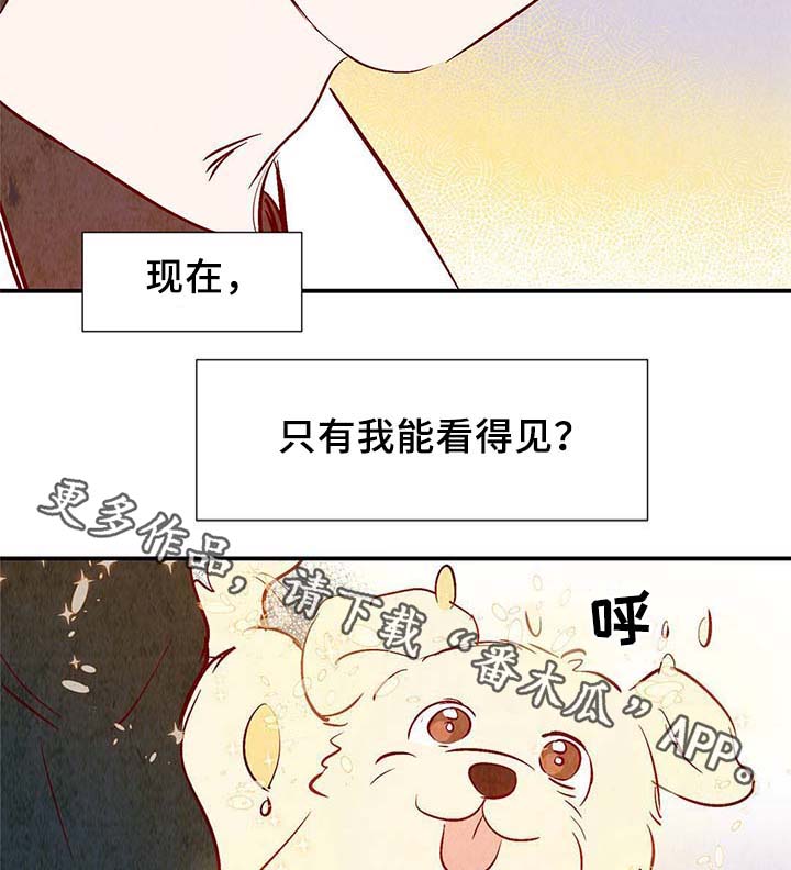 寻鳞之旅漫画,第37章：灵魂召唤4图