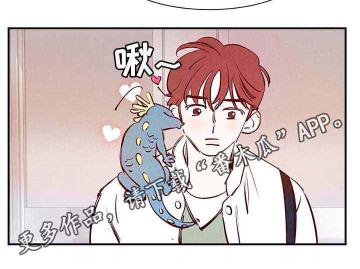 寻鳞之旅漫画,第30章：电梯5图