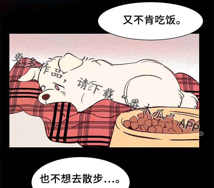 寻鳞之旅漫画,第36章：面对死亡5图