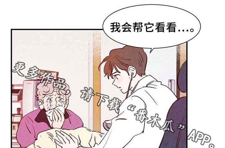 寻鳞之旅漫画,第36章：面对死亡4图