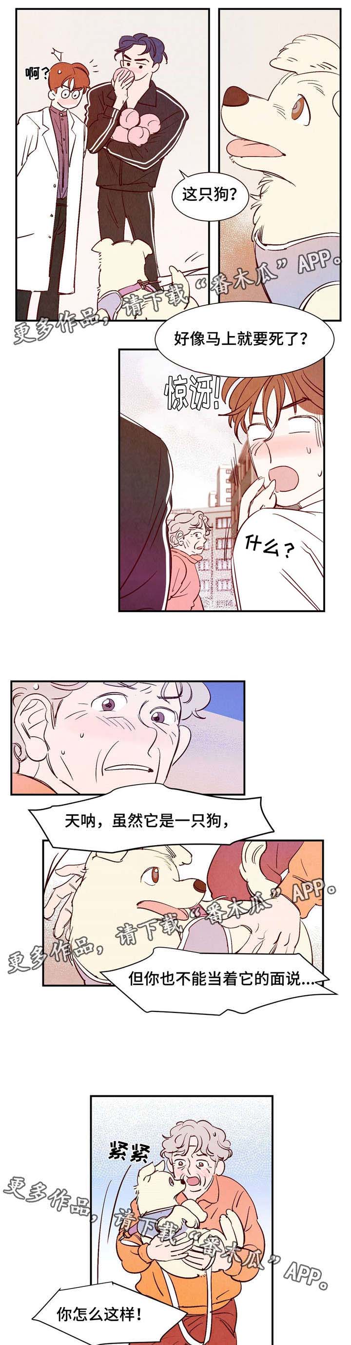 寻鳞之旅漫画,第9章：遇见你之后3图