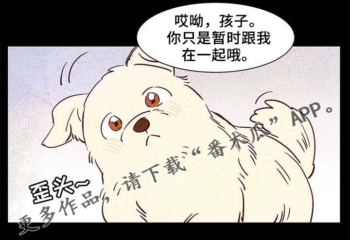 寻鳞之旅漫画,第40章：老幺的故事5图
