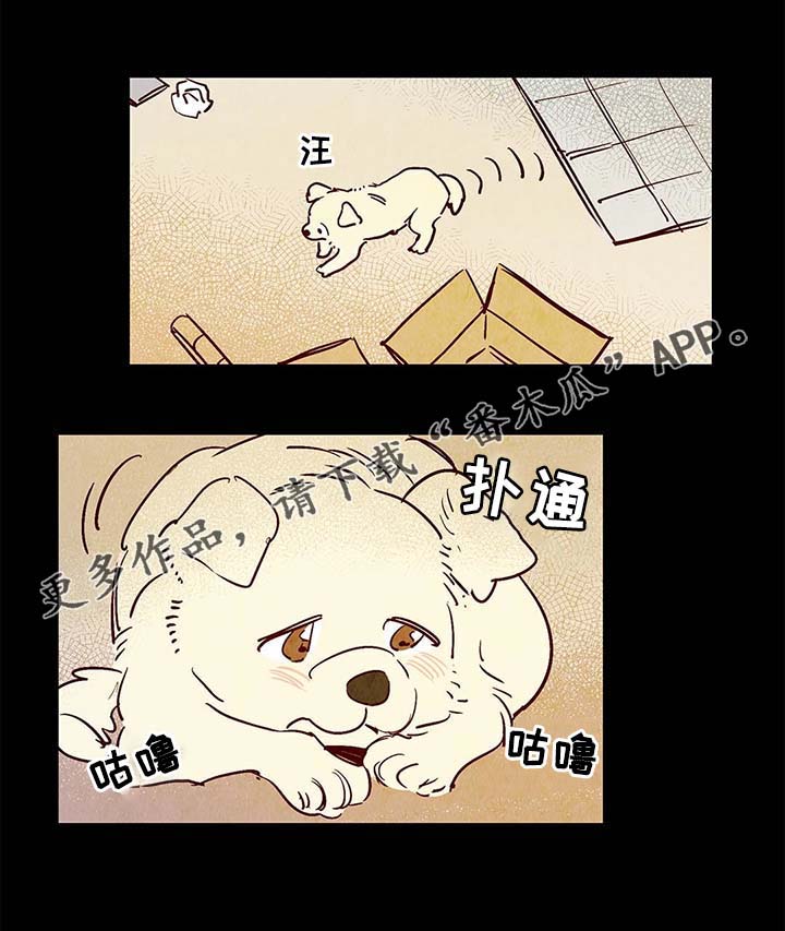寻鳞之旅漫画,第40章：老幺的故事2图
