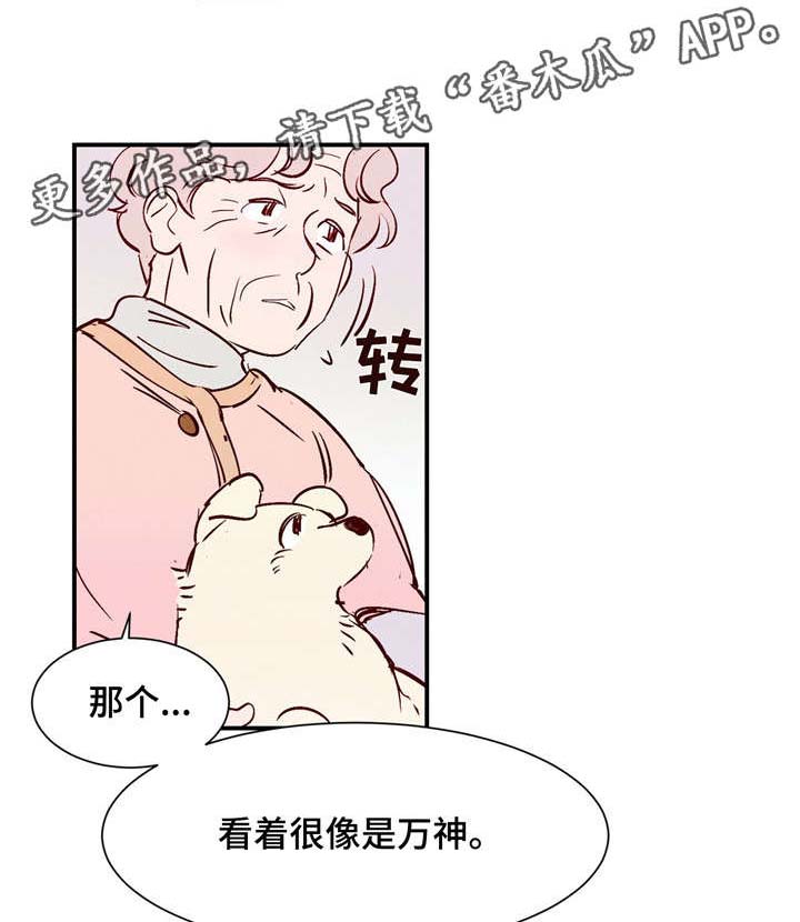 寻鳞之旅漫画,第14章：万神3图