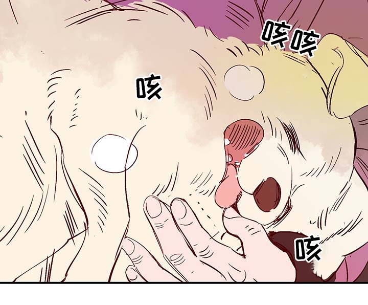 寻鳞之旅漫画,第35章：老幺1图