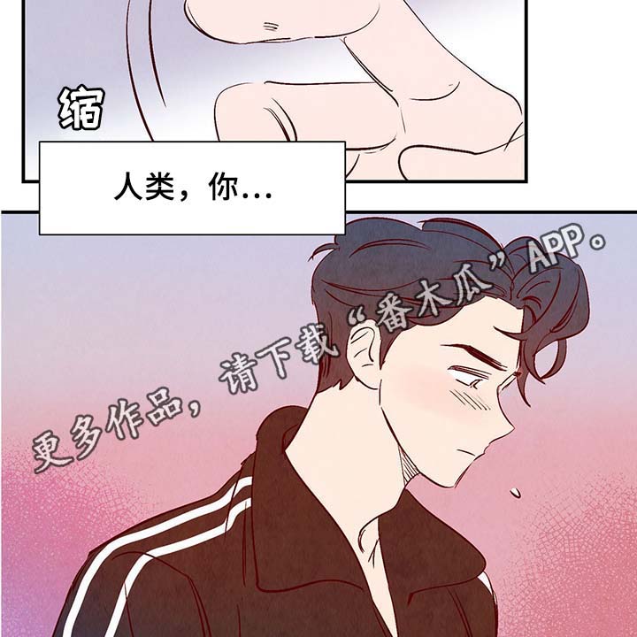 寻鳞之旅漫画,第35章：老幺1图