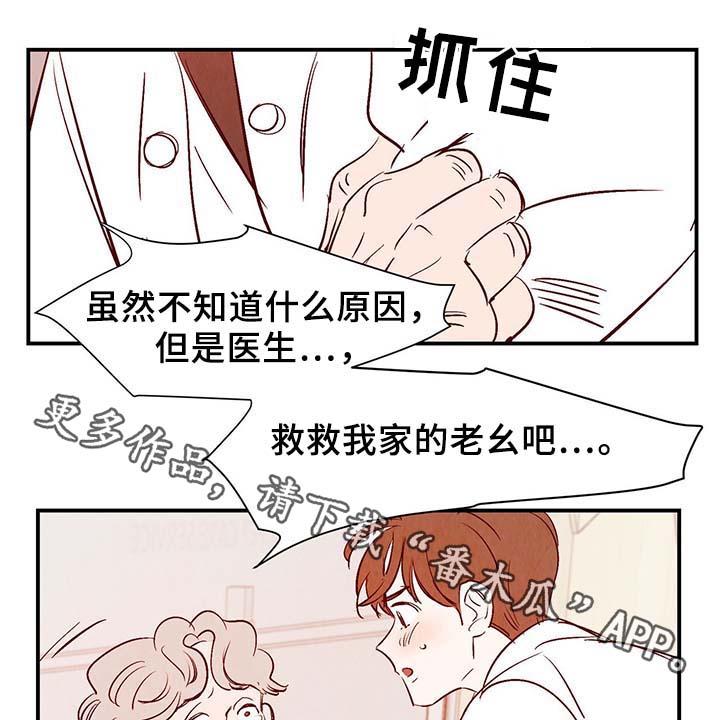 寻鳞之旅漫画,第35章：老幺3图