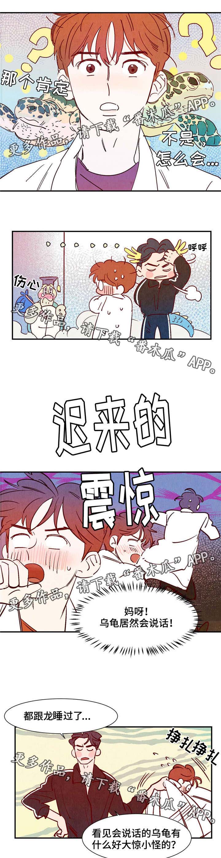 寻鳞之旅漫画,第18章：会说话的乌龟1图
